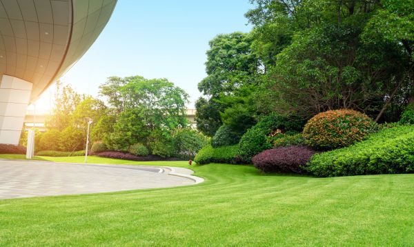 Commercial Shrub Trimming in Sioux Falls