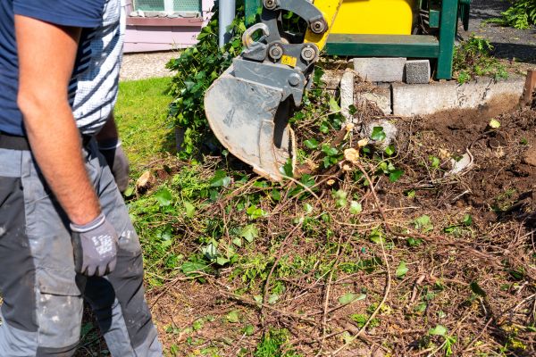 Hedge Removal Service in Sioux Falls