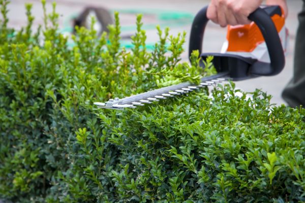 Hedge Shearing in Sioux Falls