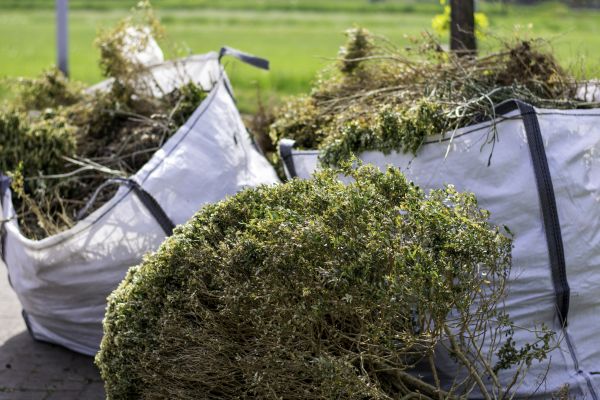 Shrubs Removal in Sioux Falls