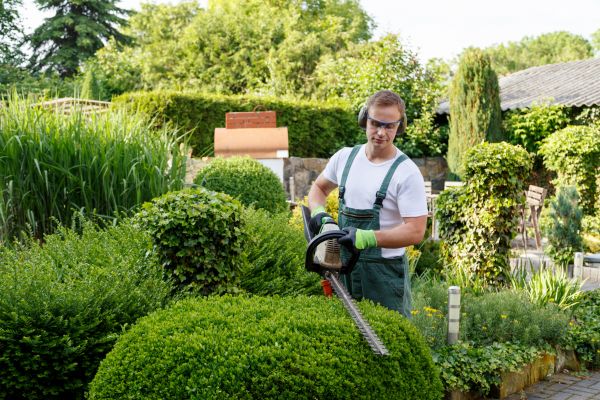Shrubs Trimming in Sioux Falls
