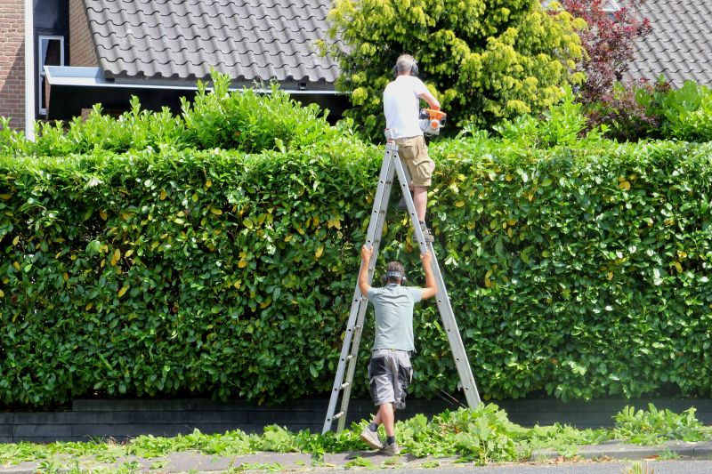 Hedge Trimming detail
