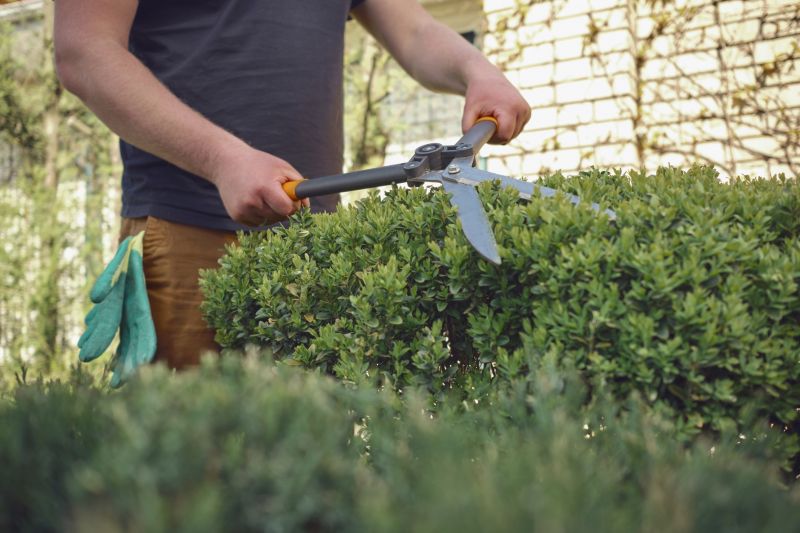 Shrubs with Clean Cuts