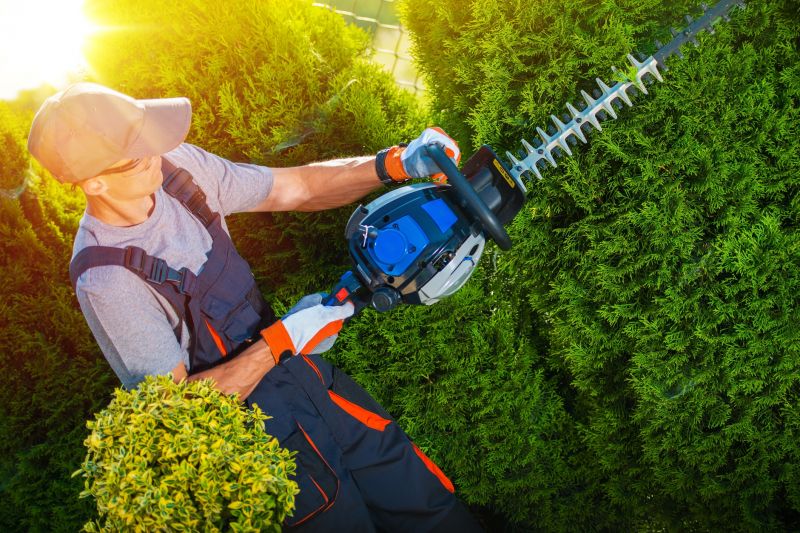 Landscaper Shaping Shrubs