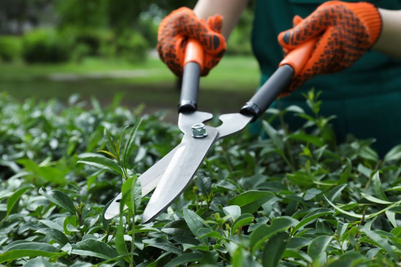 Tools used for shrub trimming